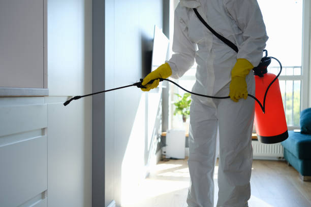 Best Mold Removal for HVAC Installations  in Reading, MI