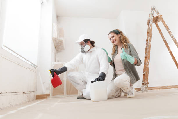 Mold Odor Removal Services in Reading, MI