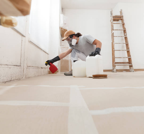 Best Water Damage & Mold Remediation  in Reading, MI